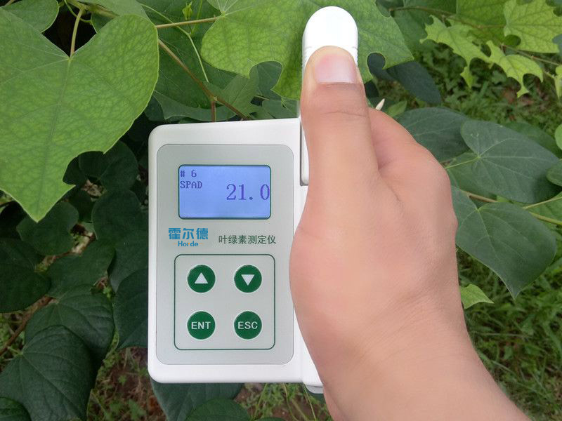 葉綠素含量測定儀具備哪些功能特點 葉綠素含量測定儀具備哪些功能特點