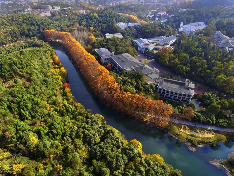 自動雷達水位雨量監測系統監測江河流量