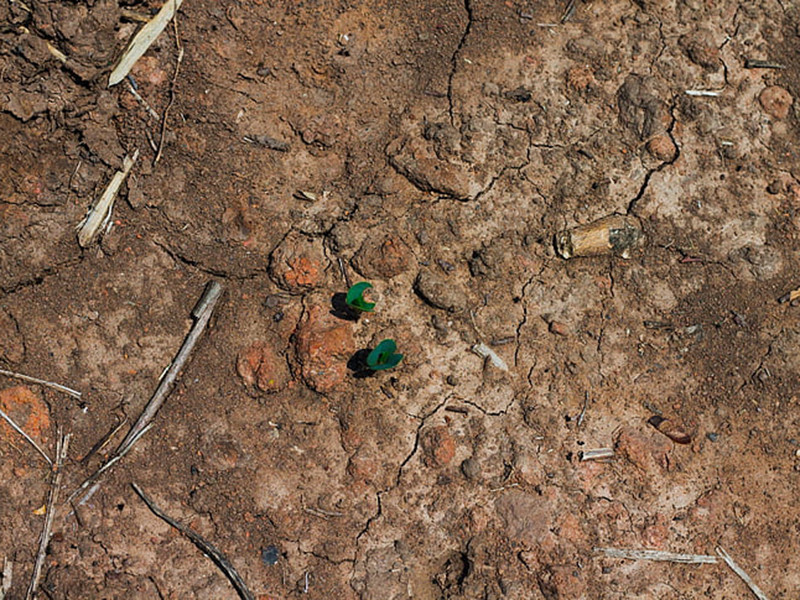 土壤檢測費用一般是多少