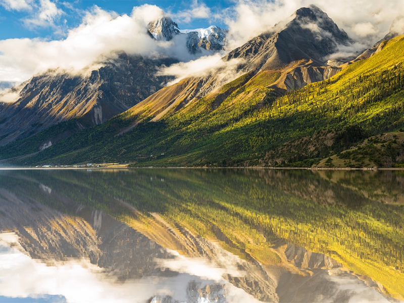 生物毒性檢測儀價格
