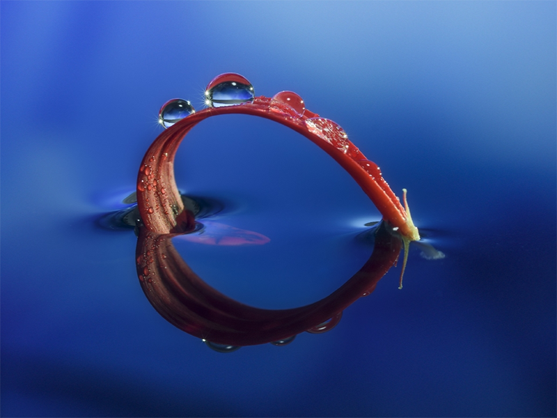 總氮檢測儀使用方法（北京總氮檢測儀哪家強）