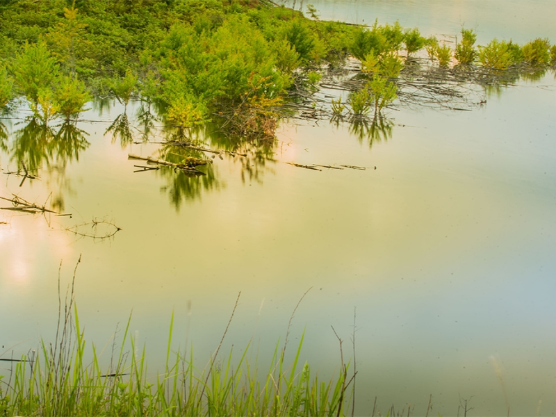 生物毒性檢測(cè)儀的測(cè)定方法