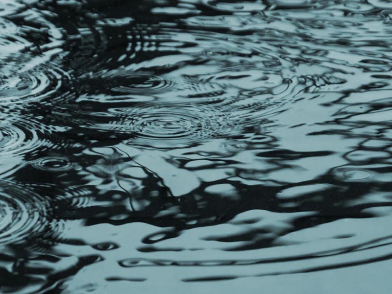 水質生物毒性檢測技術介紹(水質生物毒性檢測國家標準)