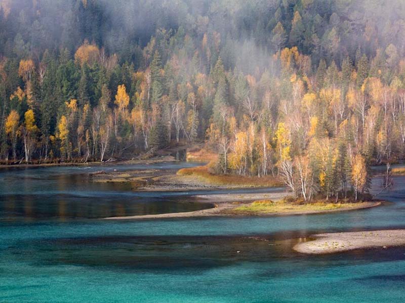 COD氨氮總磷測定儀檢測標(biāo)準(zhǔn)（COD氨氮總磷測定儀功能特點(diǎn)）