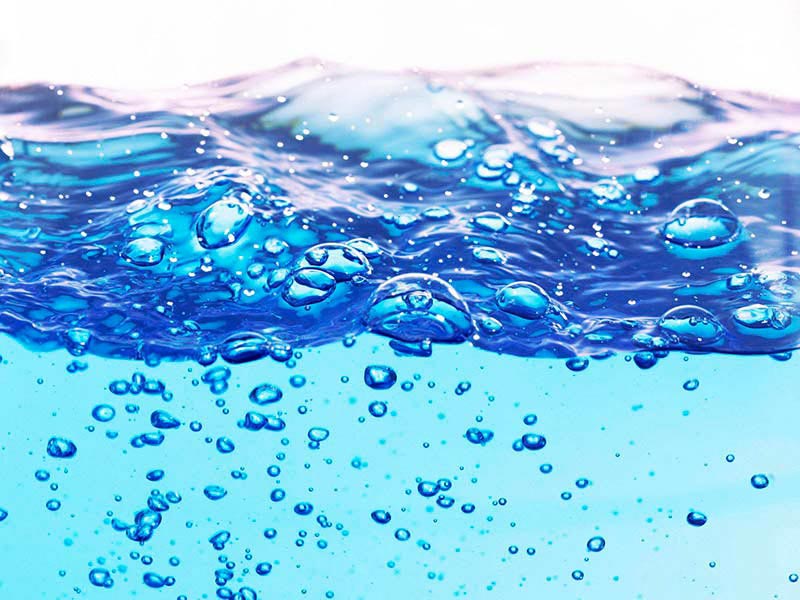 海洋生物水質基準推導技術指南解讀