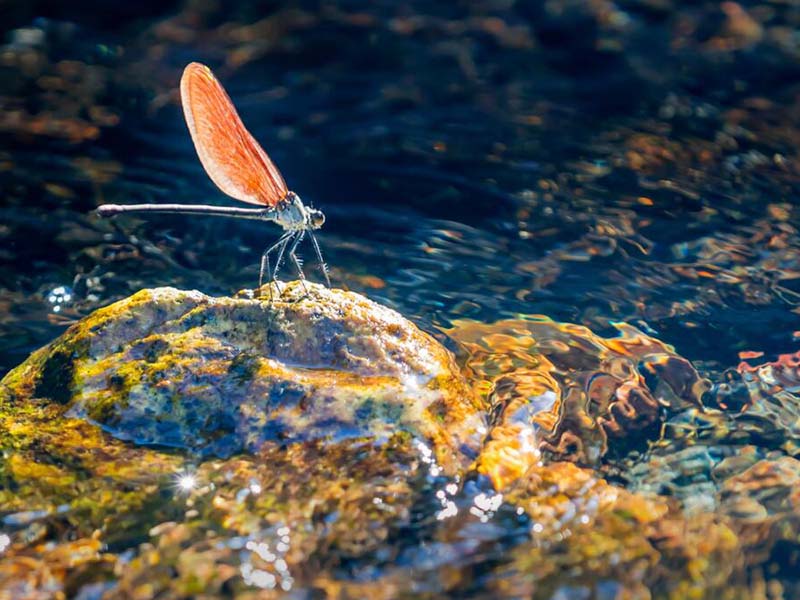 水質總磷快速測定儀如何操作