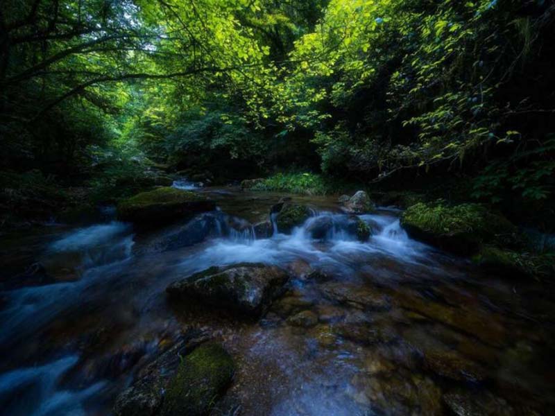 氨氮在線水質分析儀的優點