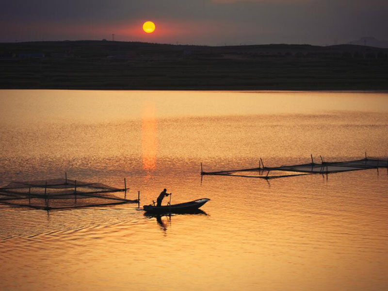 水產養殖水質分析儀可以檢測哪些項目（水產養殖水質分析儀多少錢）