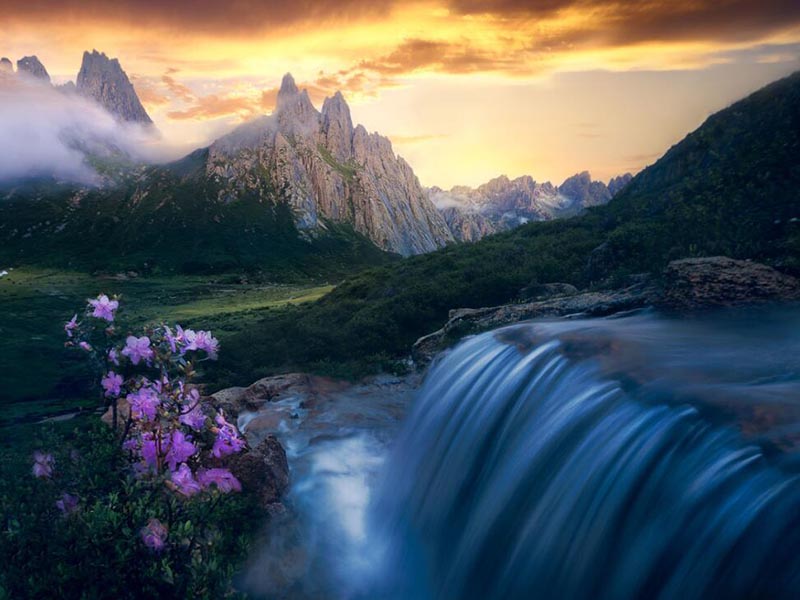 糞大腸菌群檢測標(biāo)準(zhǔn)