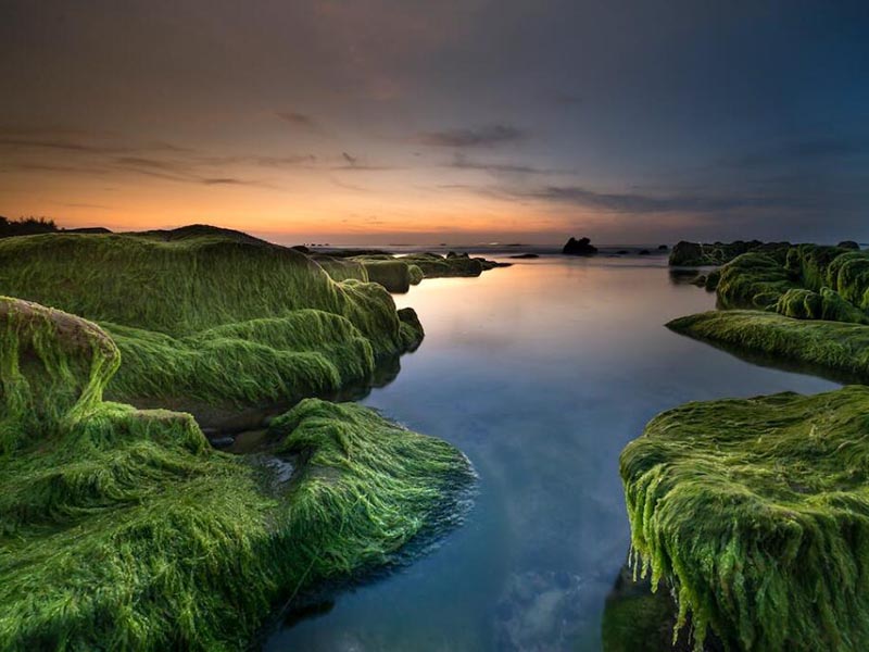 COD測定儀的操作說明(COD測定儀廠家推薦)