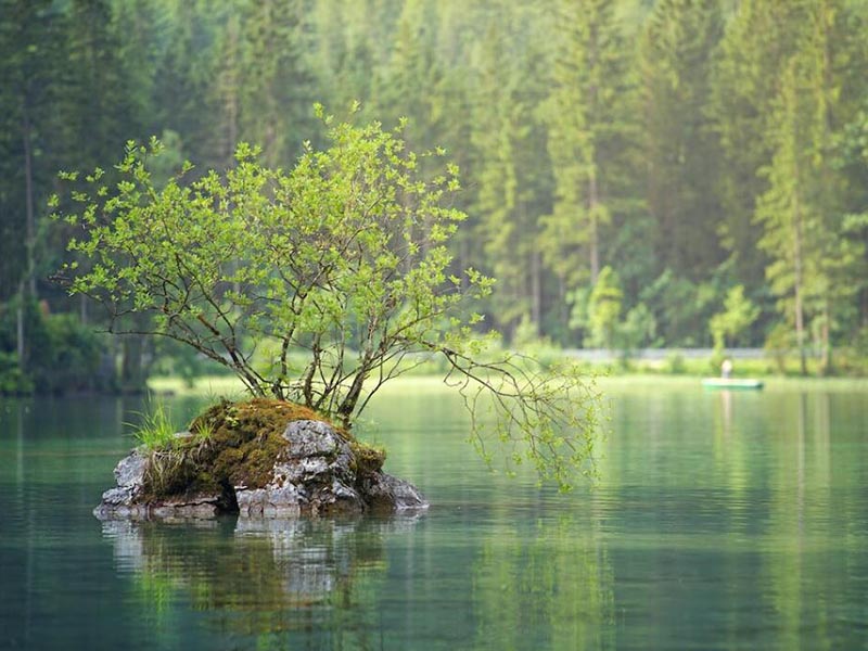 水中葉綠素在線監測儀原理(水中葉綠素在線監測儀特點)
