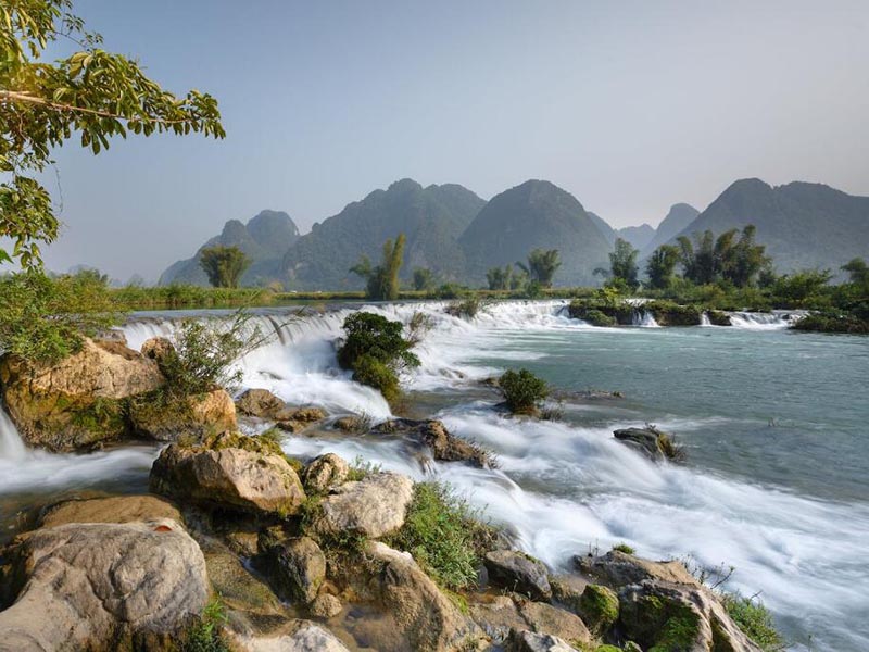 水質(zhì)生物毒性在線監(jiān)測儀原理