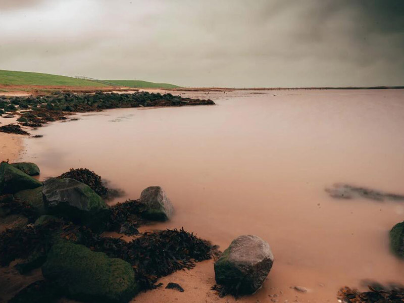在線污泥濃度計常見故障（在線污泥濃度計原理）
