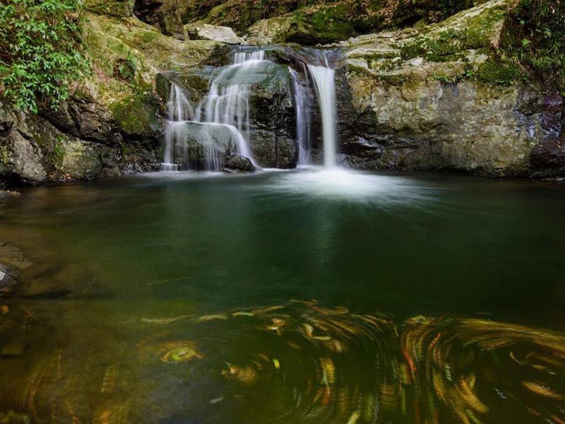 5參數(shù)水質(zhì)檢測(cè)儀可以檢測(cè)哪些參數(shù)