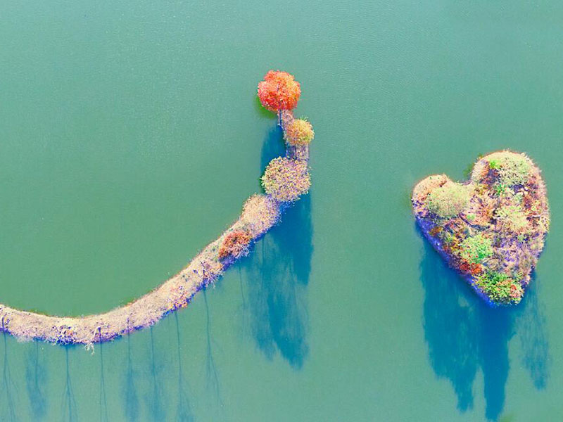 在線pH檢測儀多久標定一次