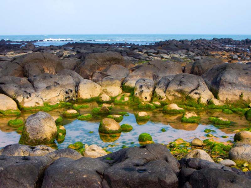 水質氰化物檢測標準