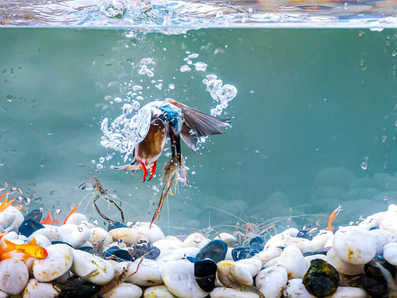 熒光法溶解氧分析儀傳感器維護方法及頻率