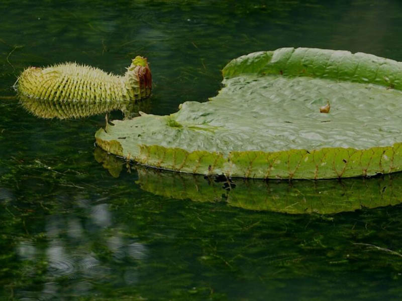 氨氮快速測(cè)定儀的使用規(guī)范