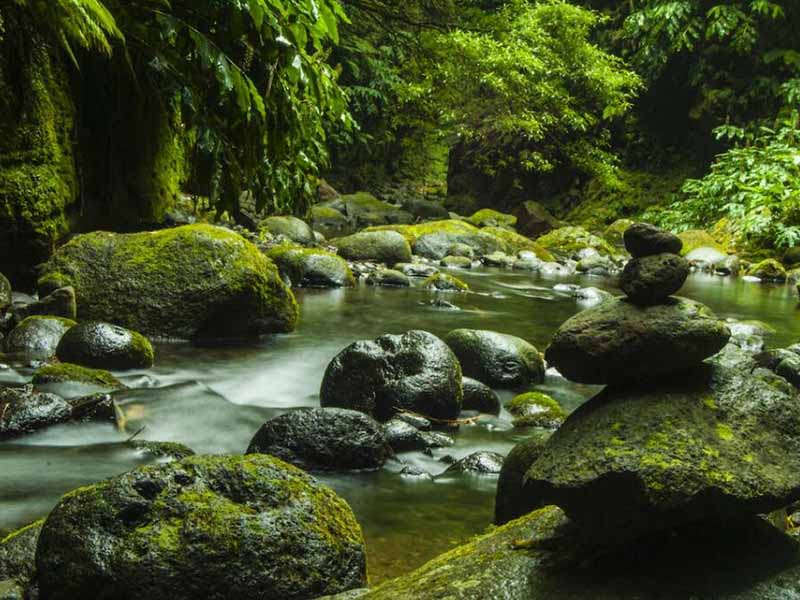 總磷檢測(cè)儀常見故障及處理方法