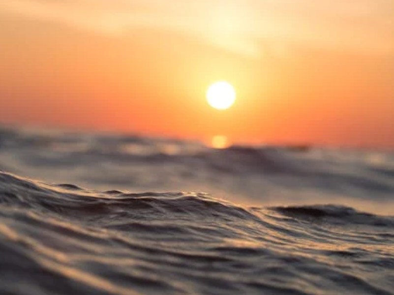 水產(chǎn)氨氮含量對養(yǎng)殖的重要性（?怎樣降低水塘氨氮含量）