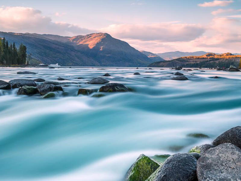 什么是生物毒性（如何實施水質(zhì)生物毒性在線監(jiān)測）