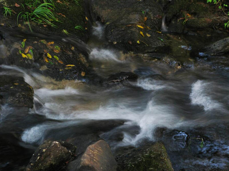 BOD測(cè)定儀的使用方法（BOD測(cè)定儀維護(hù)與保養(yǎng)）