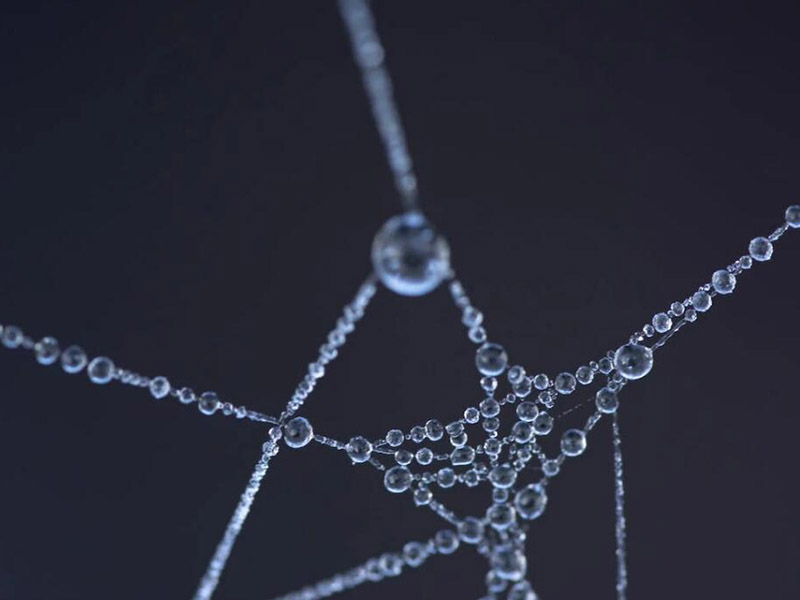 硅酸根檢測(cè)儀工作原理（影響硅酸根檢測(cè)儀準(zhǔn)確性的因素）