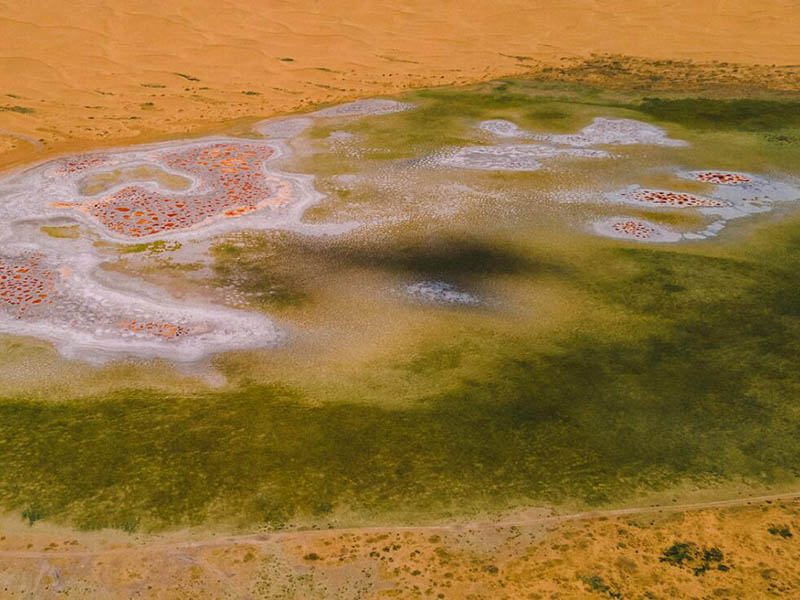 總磷快速檢測儀參數指標(便攜式總磷快速檢測儀詳細操作步驟)