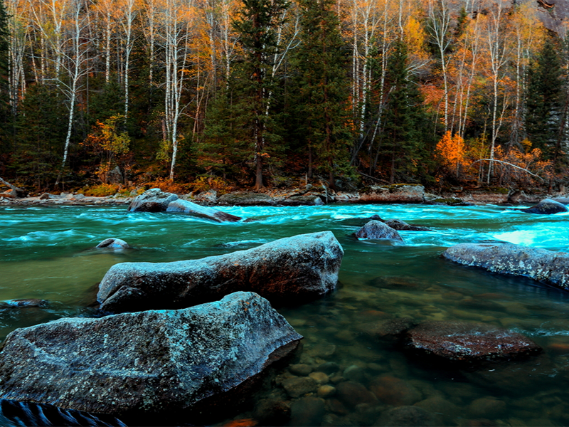 水質(zhì)總磷檢測(cè)步驟及注意事項(xiàng)（水質(zhì)總磷檢測(cè)的常用方法）