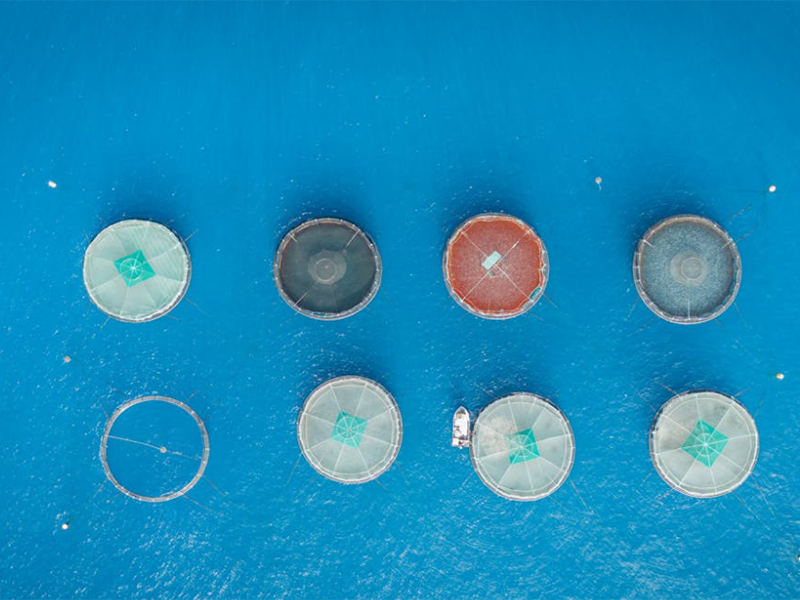 水產養殖水質檢測儀怎么選擇（水產養殖水質檢測儀類型特點）