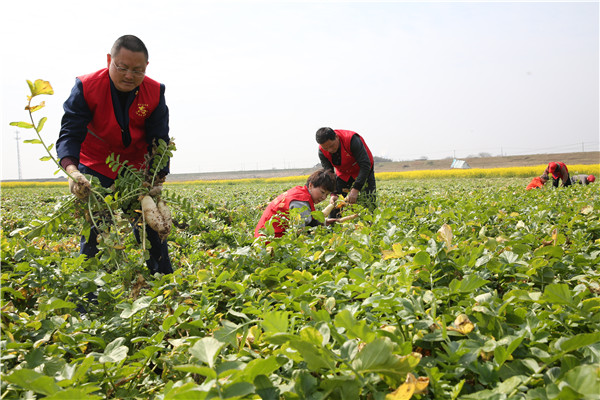 土壤養(yǎng)分速測儀助力農貿開展科學施肥