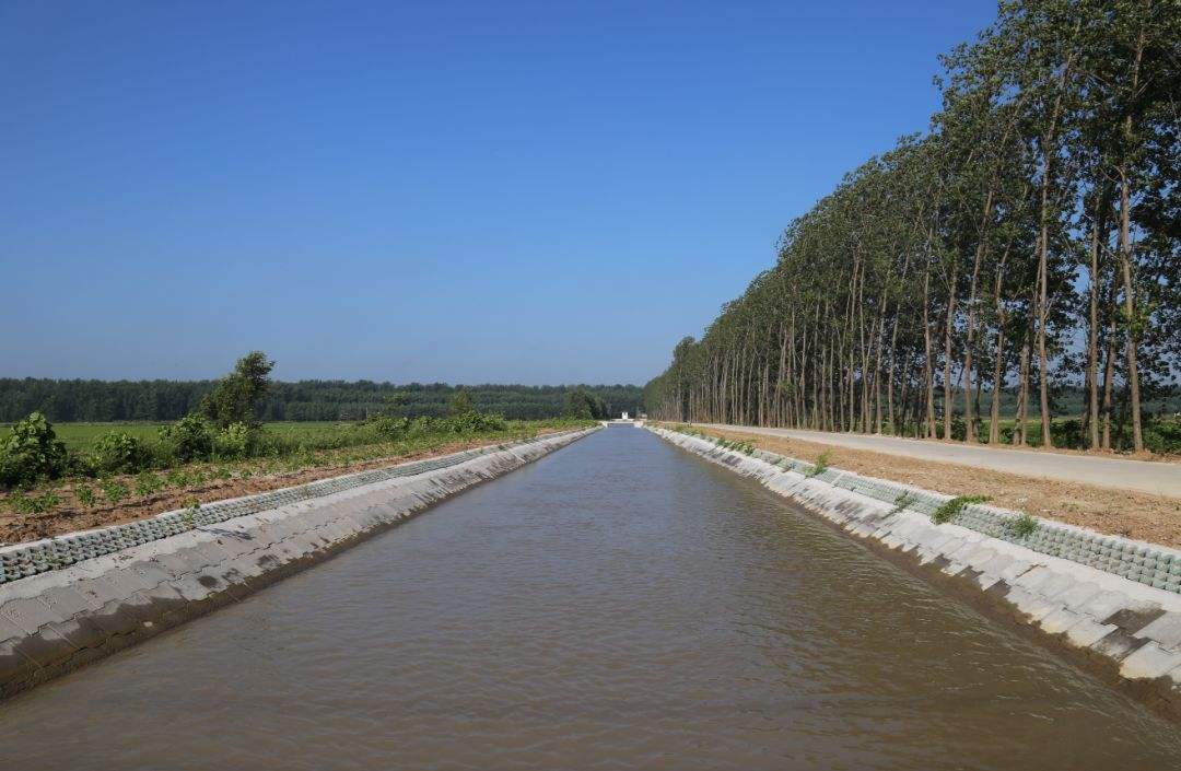 土壤濕度、溫度和鹽度ph分析儀 土壤濕度、溫度和鹽度ph分析儀