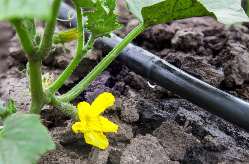 土壤水分測(cè)定儀