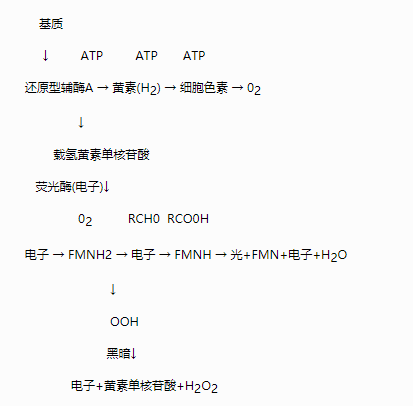 生物毒性檢測(cè)儀的檢測(cè)原理是什么