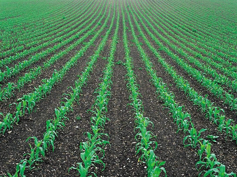 土壤墑情監測儀，為實現節水增糧奠定基礎