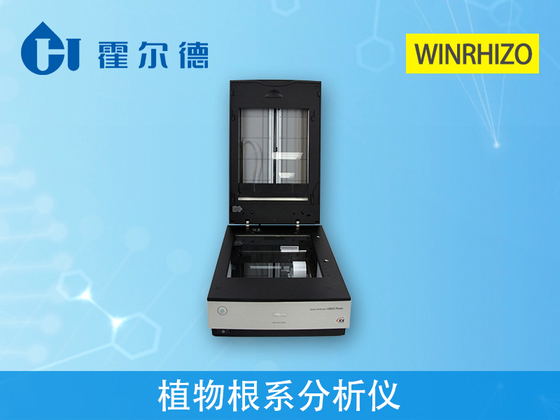 了解植物根系，對種植有什么幫助