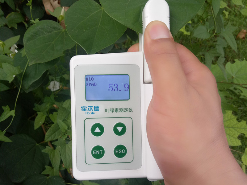 葉綠素含量測定儀，即時測量植物的綠色程度
