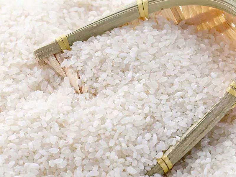 大米重金屬鎘檢測儀，可實現重金屬的快速定量檢測分析