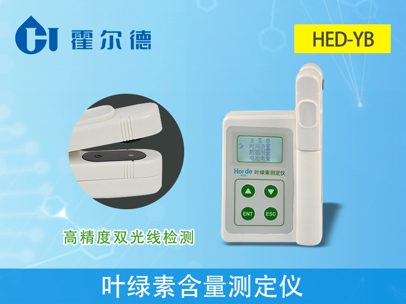 葉綠素含量會(huì)影響植物生長嗎